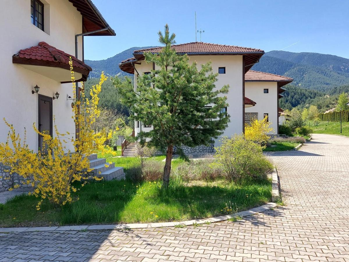 Pinerose Resort Bansko Exterior foto