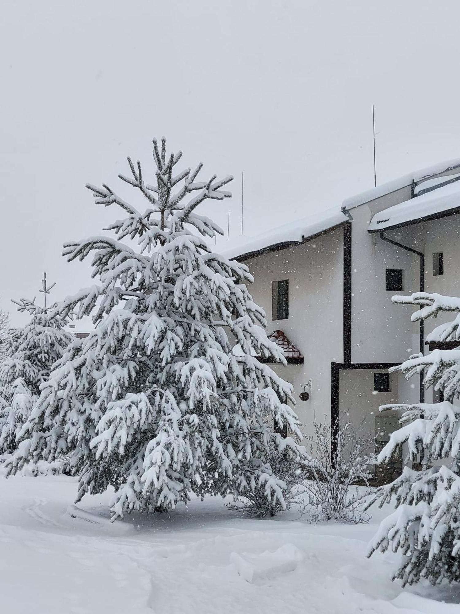 Pinerose Resort Bansko Exterior foto